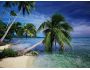 dArt Tropical Islands vol.1 1.0