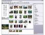 ACDSee 8 Photo Manager 8.0