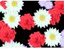 Blossoming Flowers Screensaver 1.2.0