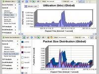 Network Traffic Monitor Analysis Report