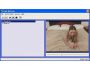 Fake Webcam 3.94