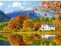 Gorgeous Fall Foliage 3D Screensaver 1.0