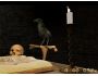 Magus Crow 3D Screensaver 1.0