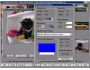 Print Pictures Your Way 206