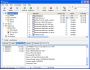 iGetter Download Manager 2.0