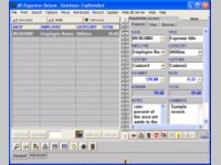 Business Expense Organizer