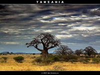 Tanzania