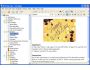 Info Angel Professional 3.2