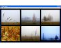 Bizimg Foggy Autumn 1.0.0.1
