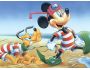 Free Walt Disney Screensaver 1.0