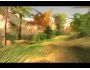 DreamIsland 1.0