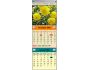 Free Monthly Calendar 1.00