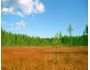 Landscape Online Wallpaper Changer 1