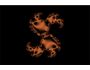 Fractal Screensaver 1.1