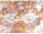Alien Plasma Tunnels 2.7