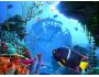 Coral Clock 3D Screensaver 1.0