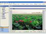 Photo-Essence PhotoStudio 2.1