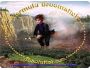 Formula Broomstick 1.3