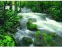 Free Wonderful Nature Screensaver 1.0