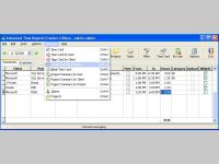 Advanced Time Reports Premier