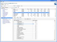 NEROCODE MySQL Client
