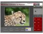Wildlife Pictures Online eCalendar 2006.1