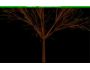 Tree screensaver 2.1