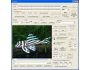 X360 Tiff Image & Fax Viewer ActiveX OCX 1.0