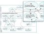 Axsellit Strategy Mapper 2612