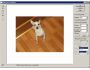 Background Remover 3.0