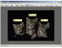 FotoTagger 2.12