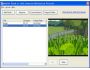 AnvSoft Flash to iPod Converter 1.01
