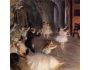 Edgar Degas Art 1.0