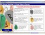MB Free Runes Reading Software 1.0