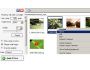 PicuSizer 1.7.223