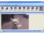 Image Styler 1.0