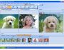Morpheus Photo Animation Suite 3.00