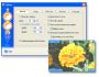 Zoommy 7.1