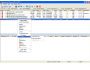 BearShare Premium P2P 5.8.9