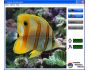 Classic Puzzle Game 3.2