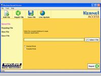 Access Database Repair