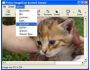 Priore TWAIN for VS.NET 1.0