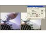 Video Pilot Plugin for Adobe Premiere 1.10