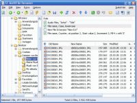 EF Multi File Renamer