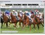 Multi Web Browser 1.0