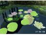 3D Lovely Pond screensaver 1.5