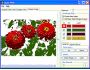 Layer Pilot 1.00