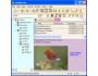 InfoWonder 1.1.3000