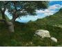 Living Landscape screensaver 1.1