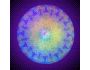 ABC Fire meditation 42 screenshot